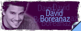 lien vers David Boreanaz (Angel)