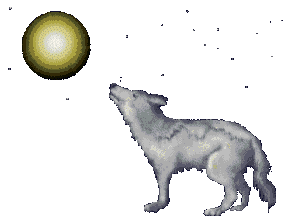 loup sous une pleine lune